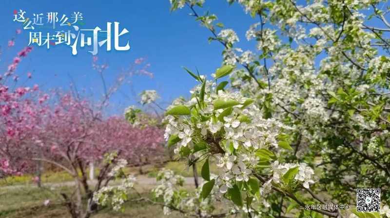 办事还在排队吗?不动产“零跑腿”新模式深度体验报告 新闻