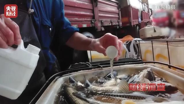  水产市场暗藏麻醉危机，央视暗访揭开活鱼运输黑幕。 新闻 水产市场暗藏麻醉危机，央视暗访揭开活鱼运输黑幕。 新闻