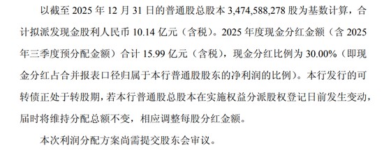  2025年银行业新格局：城投基建背后的资产狂飙与零售阵痛 股票财经