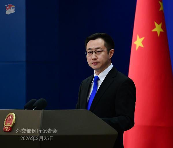  外交迷雾背后的真相：一次关于和平与尊严的深度观察 新闻 外交迷雾背后的真相：一次关于和平与尊严的深度观察 新闻