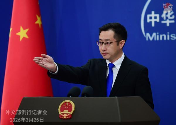  外交迷雾背后的真相：一次关于和平与尊严的深度观察 新闻 外交迷雾背后的真相：一次关于和平与尊严的深度观察 新闻