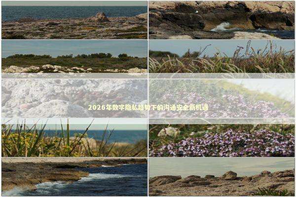 2026年数字隐私趋势下的沟通安全新机遇