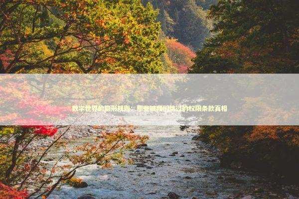 数字世界的隐形规则：那些被我们跳过的权限条款真相 IT技术