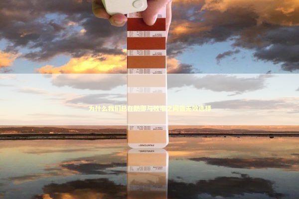 为什么我们总在防御与效率之间做无效选择